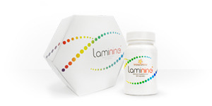 Ламинин - 1 упаковка